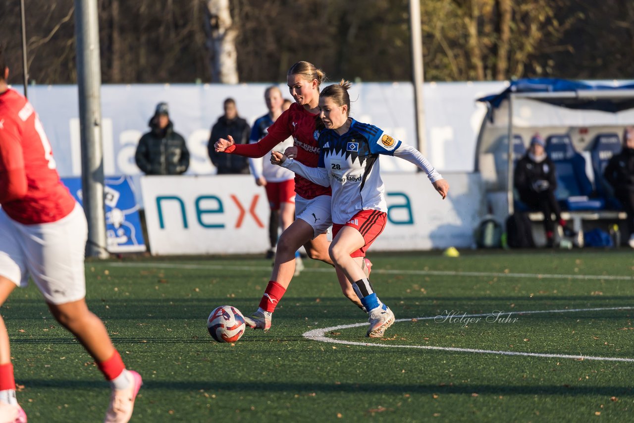 Bild 202 - wBJ Hamburger SV - Holstein Kiel : Ergebnis: 8:0